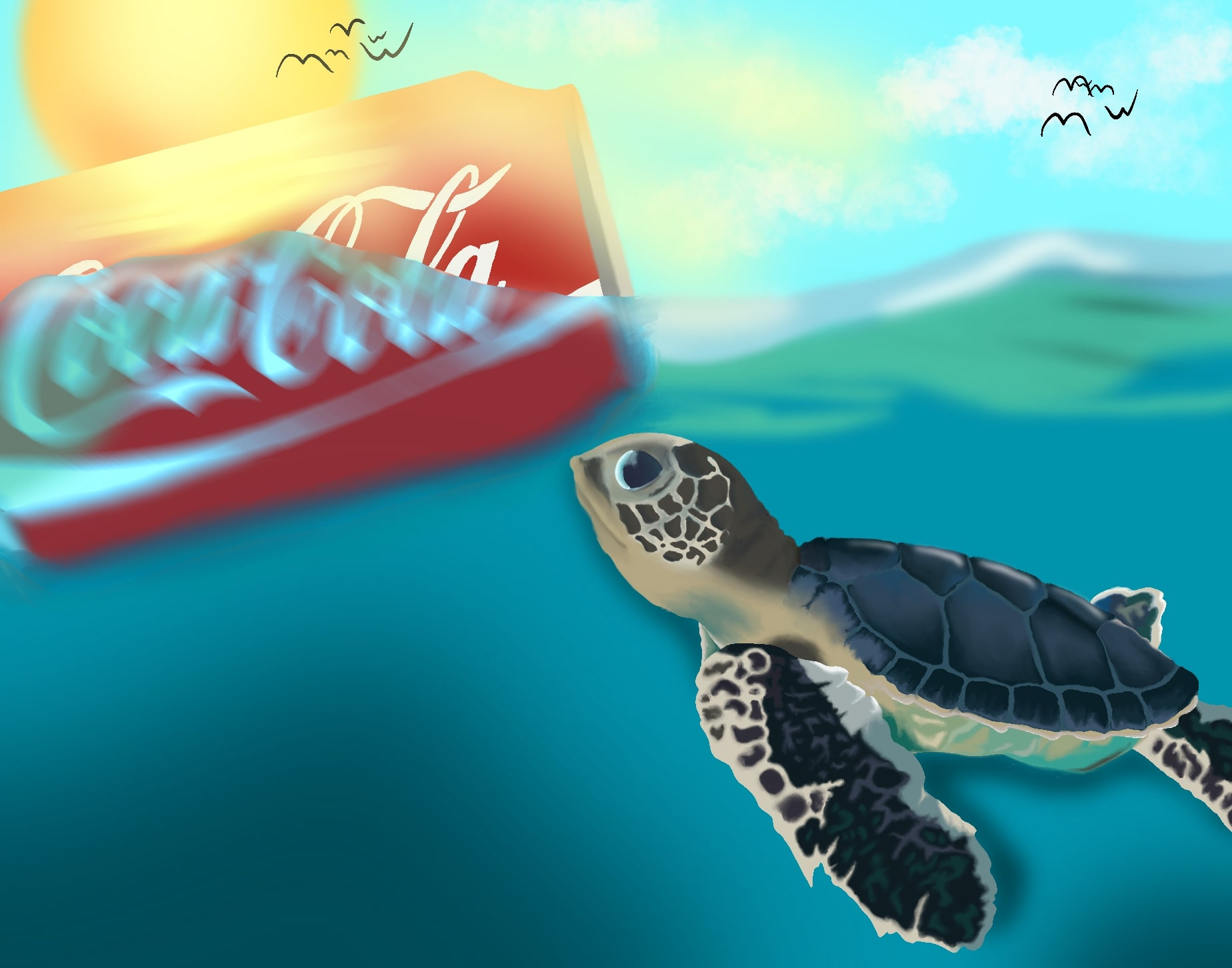 Sea Turtle